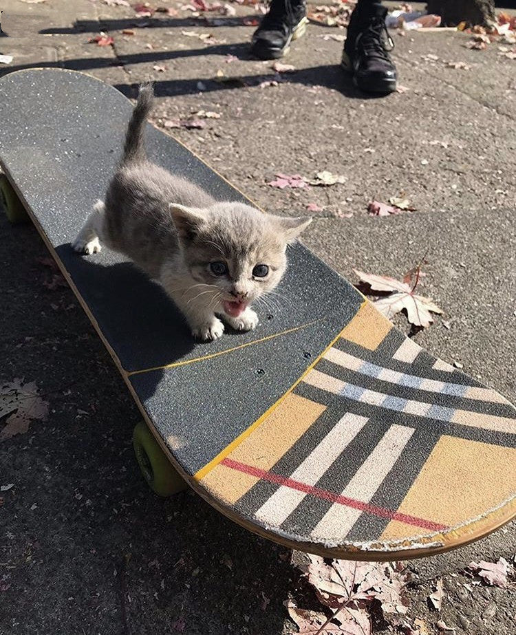 Brown Plaid Sandpaper Skateboard Sandpaper Ins Same Type Sandpaper Double Warped Longboard Diy